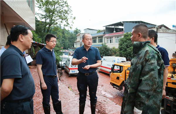 兰开驰在雨城区八步镇八步村指导抢险救灾工作.jpg