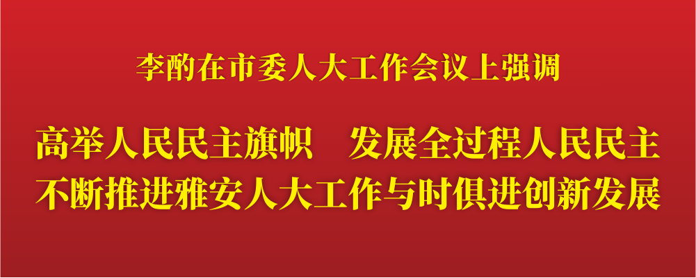 高举人民民主旗帜 发展全过程人民民主.png