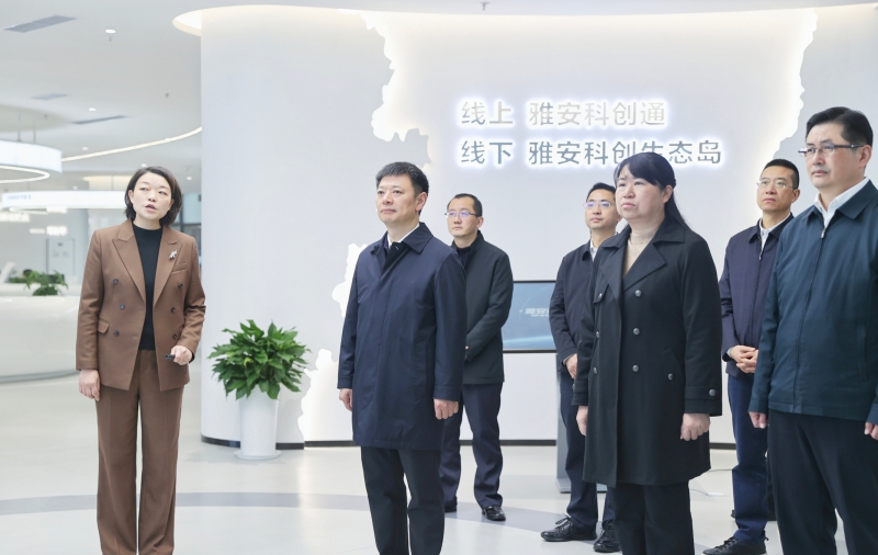 廖文彬彭映梅专题调研雨城区“十五五”规划工作